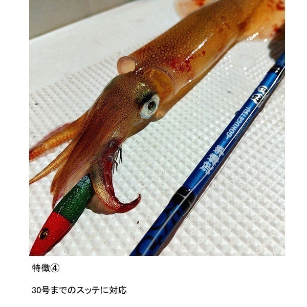 24 泥棒竿 極月